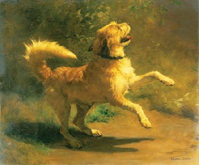 Rudolf Koller Springender Hund oil painting image